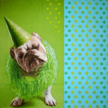 020 Hunde